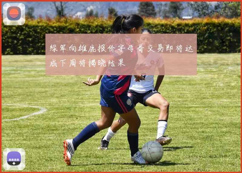 绿军向雄鹿报价字母哥交易即将达成下周将揭晓结果